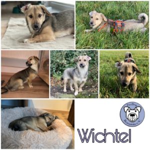 Wichtel in 42579 Heiligenhaus