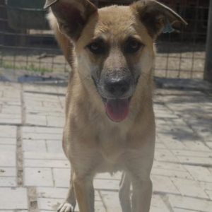 XANA - vermisst 11/2021