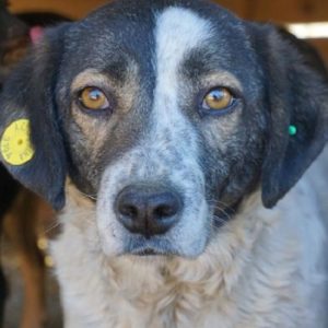 XELLA - reserviert NadineH vermittelt