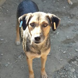 XENIA - vermisst 08/21, wahrschl. RBB