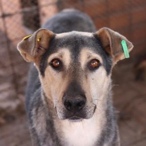 YAMIN – Notfall - vermisst 08/21