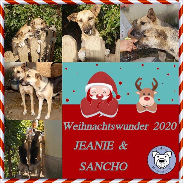 jeaniesanchoweihachten