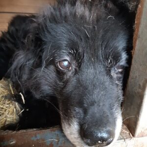 FRIEDRICH - RBB 21.02.2021