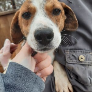 CHRISSI - reserviert Tierschutz Team - vermittelt