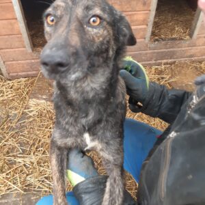 ZINA - reserviert Kathleen Müller - vermittelt