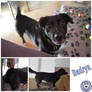 Badrya in 16348 Wandlitz *reserviert*