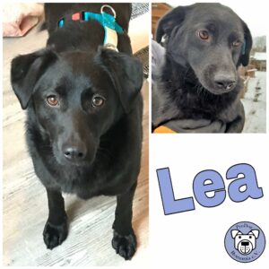 Lea in 24960 Munkbrarup