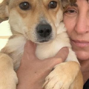 CATALINA - reserviert THL - vermittelt