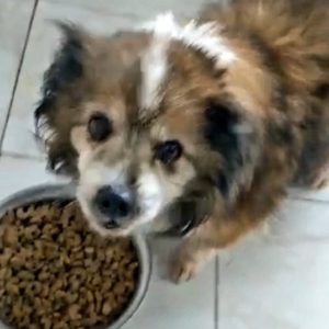 MOWGLI - RBB 05.03.2021