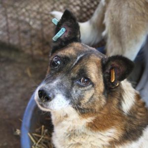 GRAMMY - RBB 14.06.2021