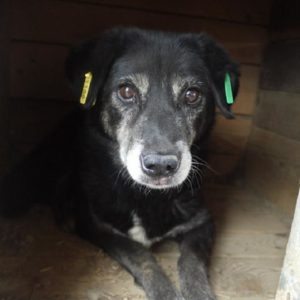 KUTO - RBB 16.05.2021