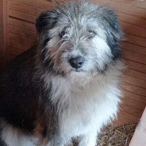 LUISE - RBB 08.05.2021