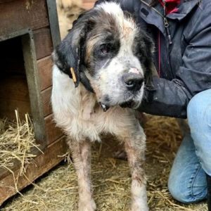 MAGLA - RBB 24.01.2021