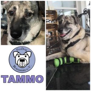 TAMMO - RBB 18.03.2021