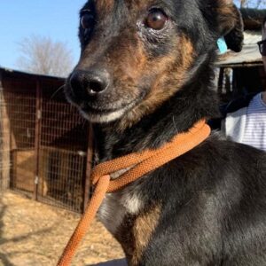 MUMPI - reserviert TINO - vermittelt