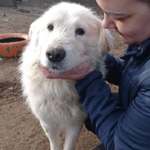 FRAM - RBB 26.04.2021