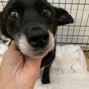 PEPA - reserviert NiWi - vermittelt