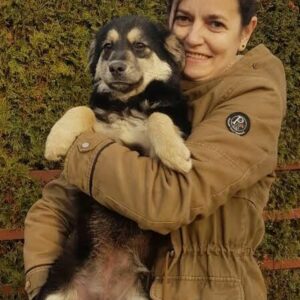 BUBBA - Beißvorfall - reserviert Second Chance Dogs - vermittelt