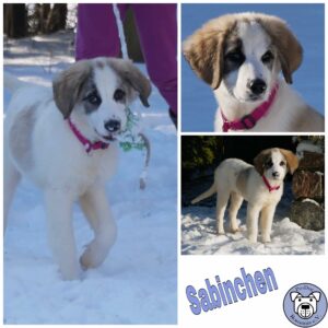 Sabinchen in 21493 Möhnsen reserviert