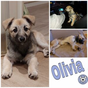 Olivia in 18311 Ribnitz-Damgarten