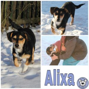 Alixa in 27299 Etelsen