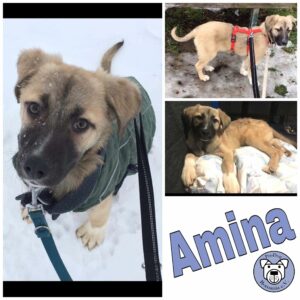Amina in 40670 Meerbusch *reserviert*