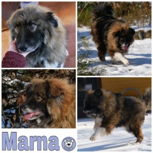 Marna in 21521 Dassendorf