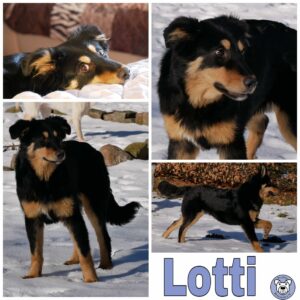 Lotti in 21521 Dassendorf *reserviert*