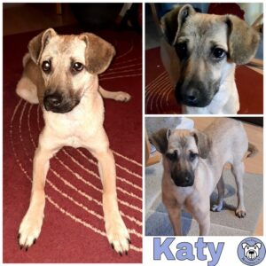 Katy in 72667 Schlaitdorf