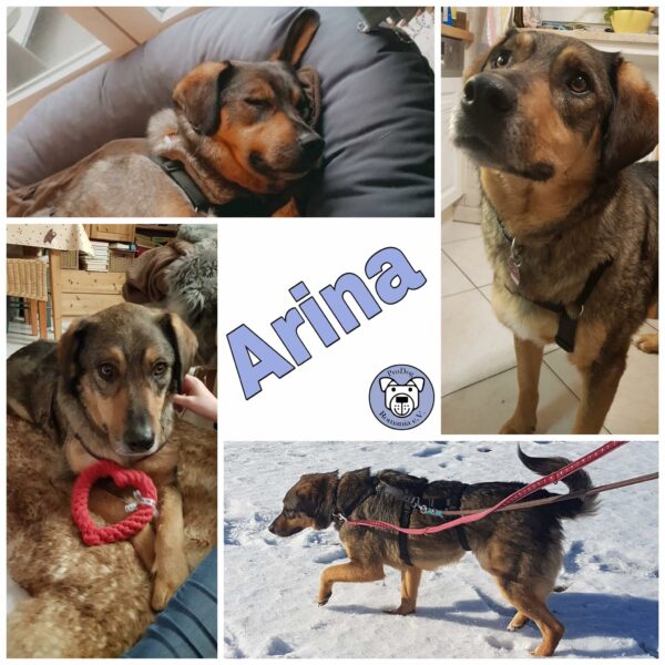 Arina in 82223 Eichenau (bei München) *reserviert*