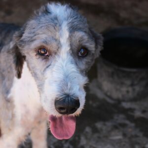 YETI - reserviert Manuela vermittelt