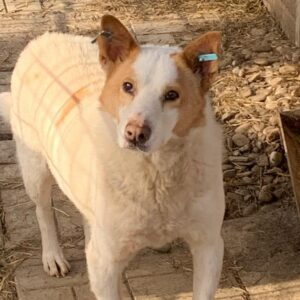 DAVID - vermisst 02/2022