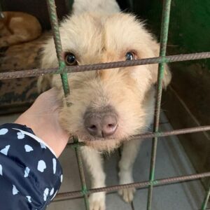 ANY - reserviert PVA - vermittelt