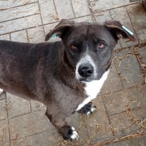 IMALY - reserviert Alexandra - vermittelt