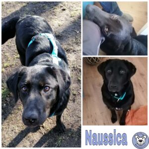 Naussica in 22459 Hamburg