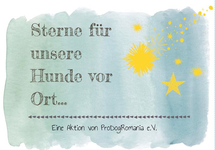 🌟 Sterne für unsere Hunde vor Ort… 🌟