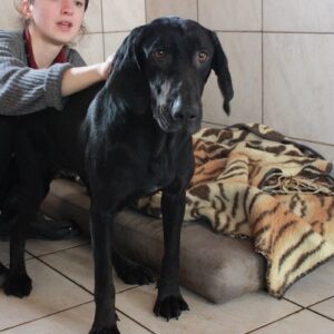 MARILLA - reserviert Tierhilfe Lebenswert - vermittelt