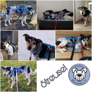 Streusel in 58239 Schwerte