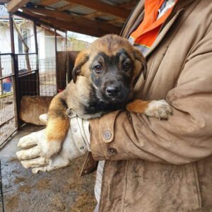 TORU - reserviert NiWi - vermittelt