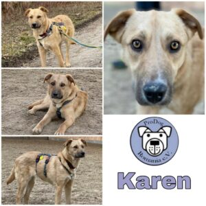 Karen in 83064 Raubling