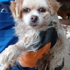 ALBA - RBB 07.05.2021