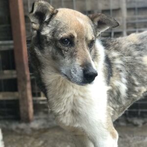 MURPHY - RBB 15.10.2021