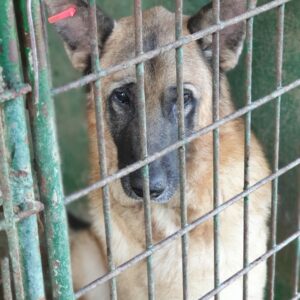 NELO - reserviert Manuela vermittelt