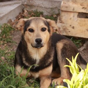 MARYSOL - RBB 06/2021