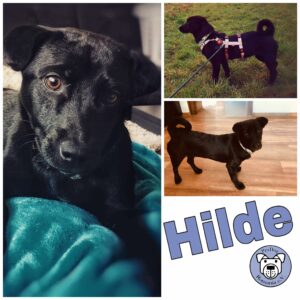 Hilde in 55543 Bad Kreuznach