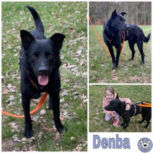 Denba in 97525 Schwebheim