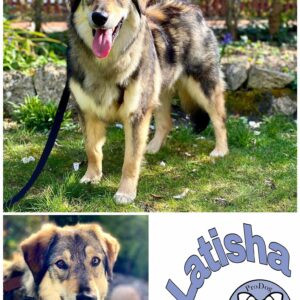 Latisha in 30539 Hannover