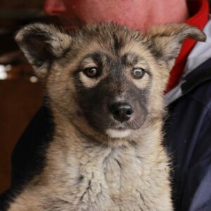 MALEA (Name unbekannt)