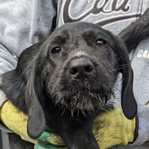 NIA - reserviert Manuela - vermittelt