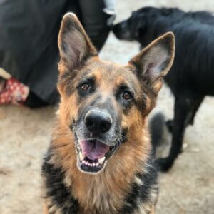 TREFF - reserviert Manuela vermittelt